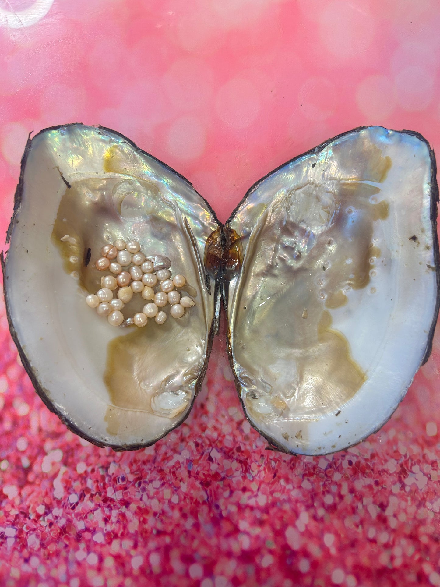 Natural Monster Oysters