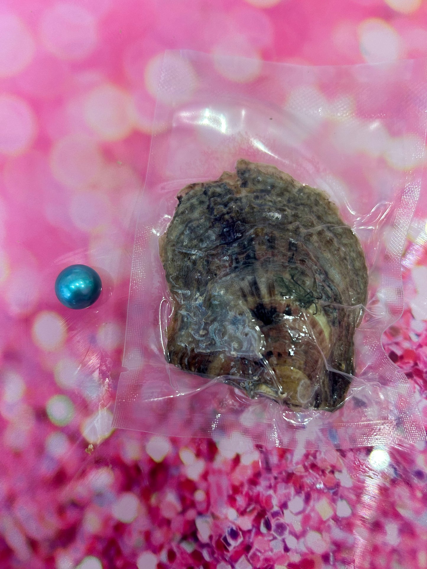 Coloured Edison Oysters