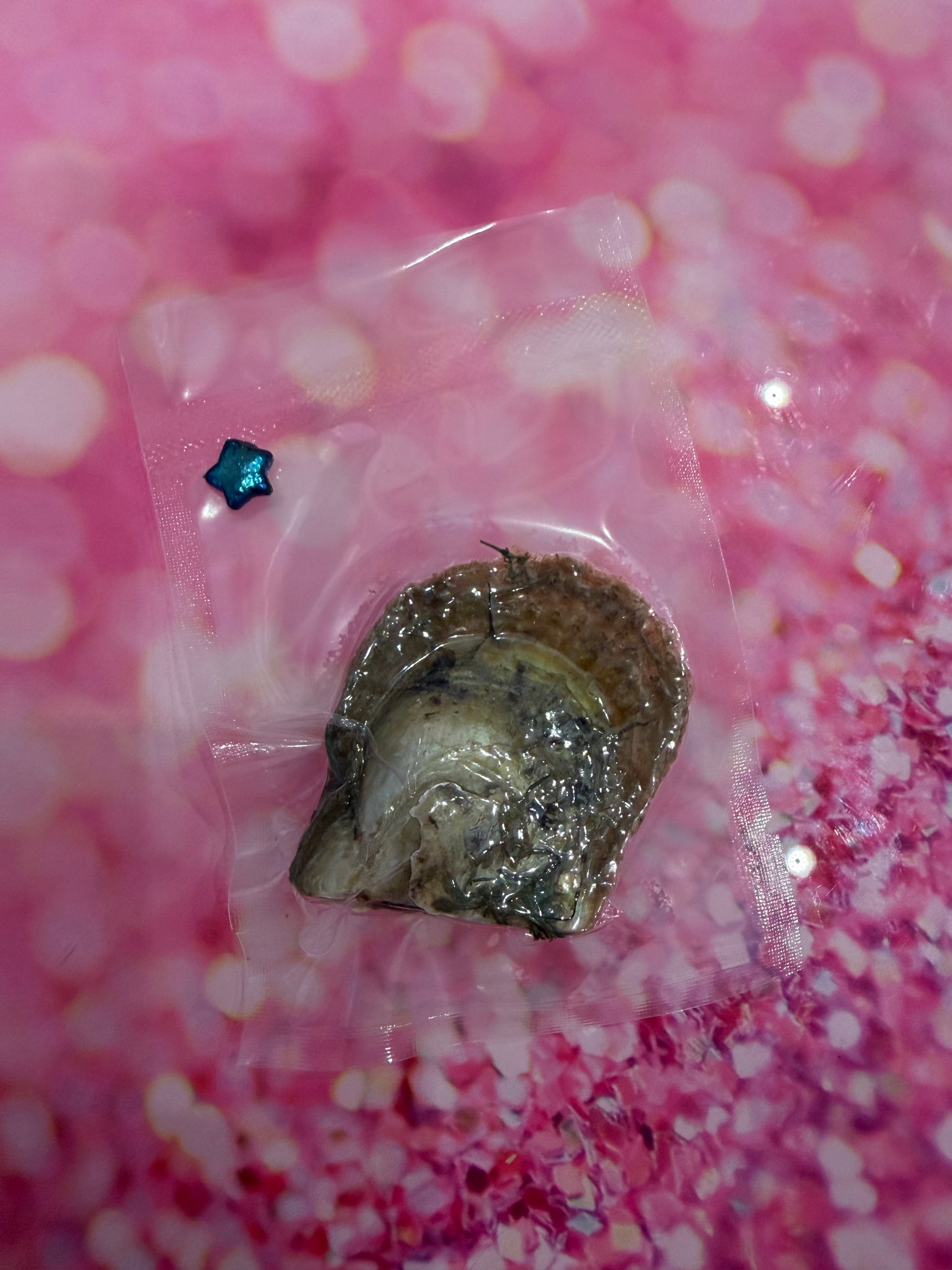 Star shaped pearl in oyster