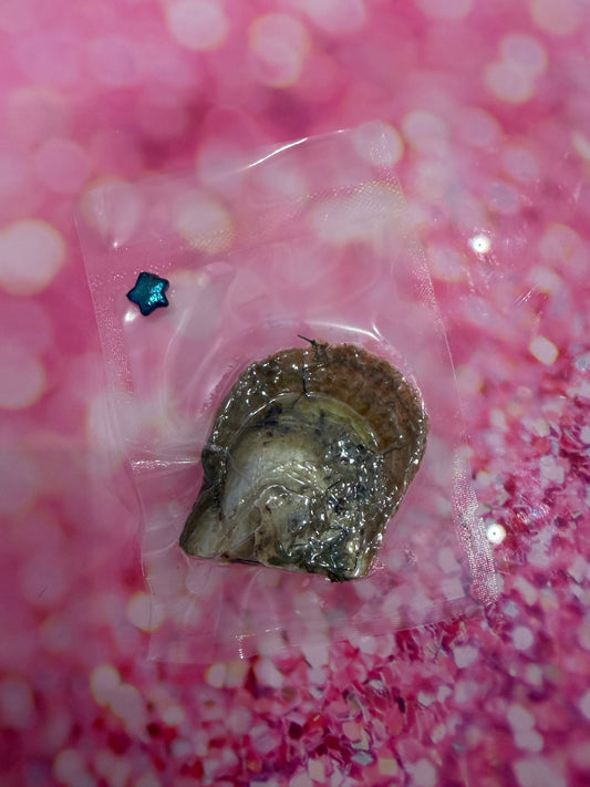 Star shaped pearl in oyster