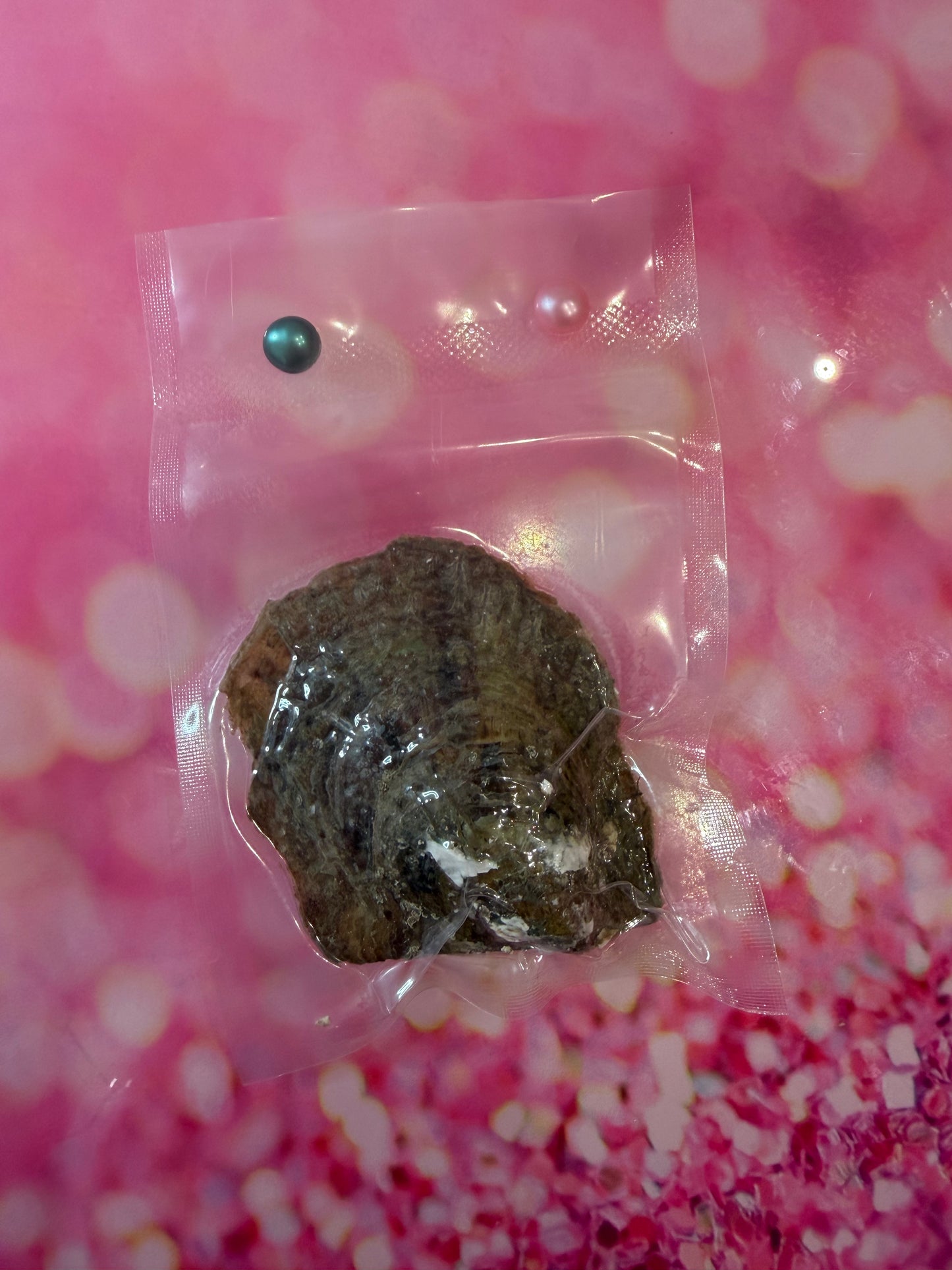 6-8mm button pearls in oysters