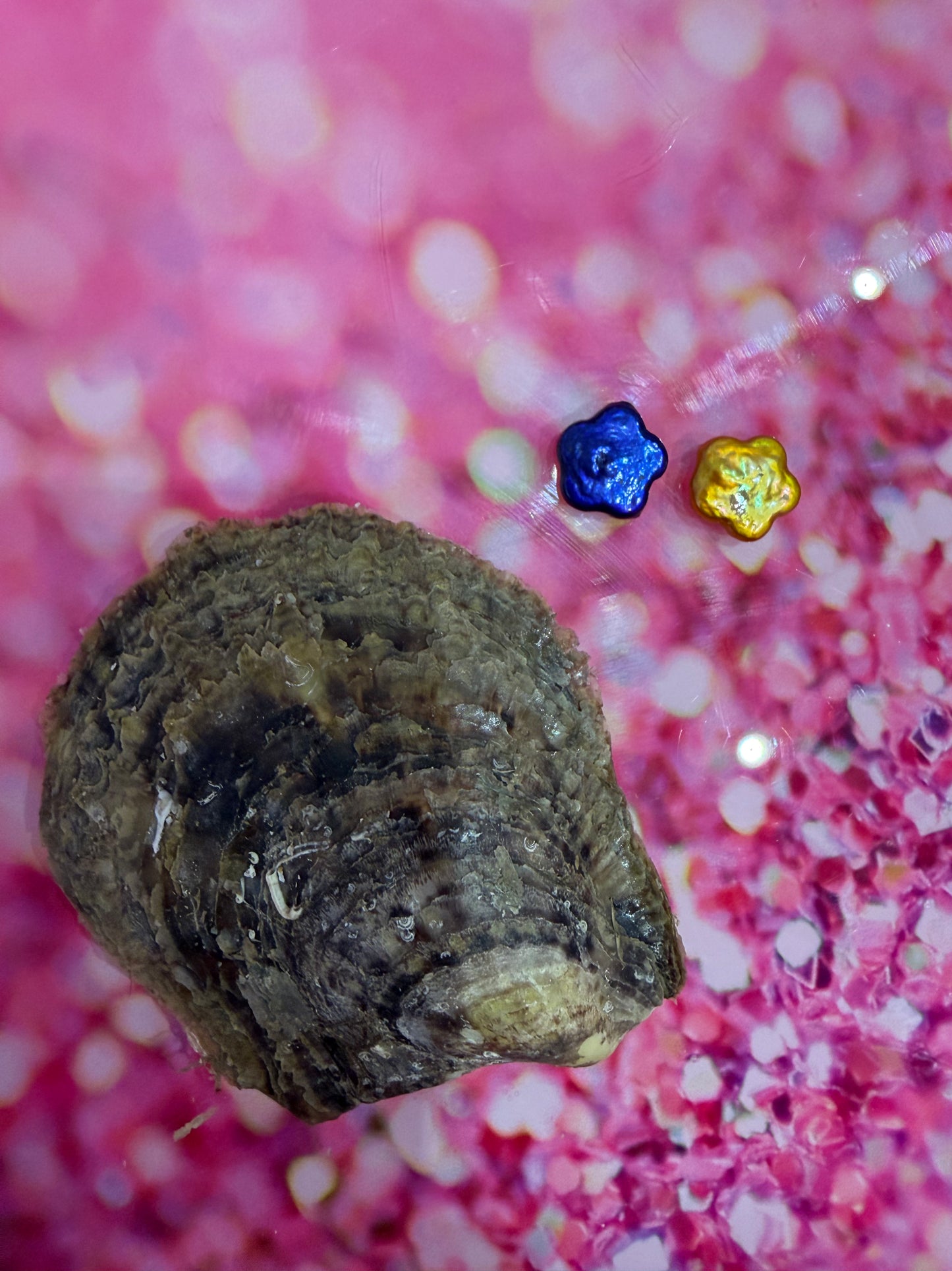 Flower shaped pearl oyster