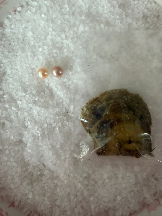Classic round oyster openings